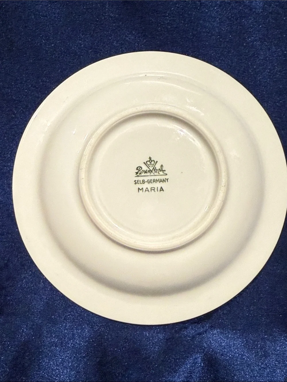 Stunning Rosenthal Maria Demitasse Cup & Saucer Alternating Green & Floral Panel